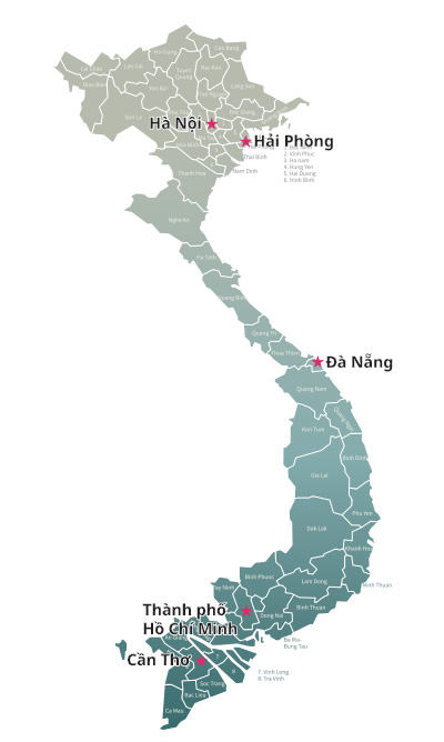 Statistics of Vietnam information image